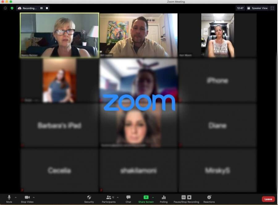 zoom demo 2 screen capture