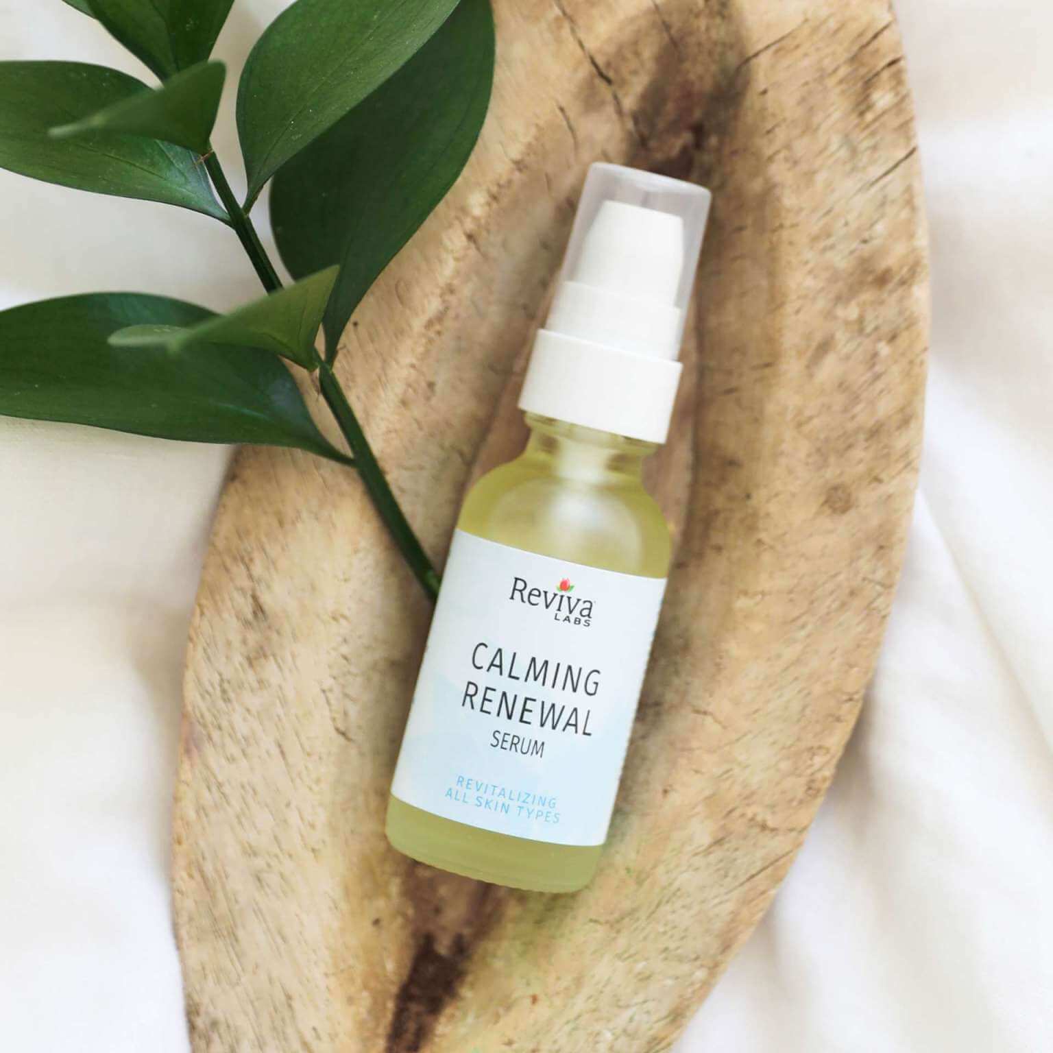 Calming Renewal Serum in rock crevice