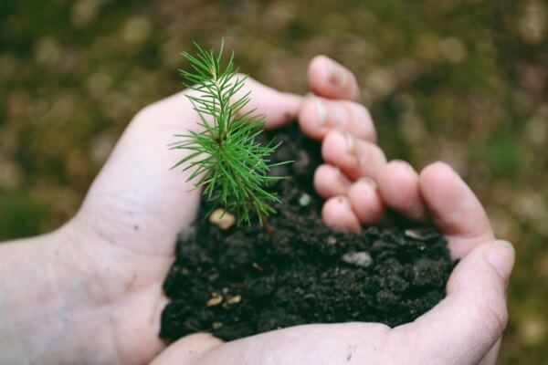 Hands in heart earth day