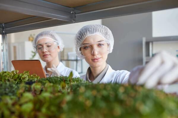 scientist looking at plants