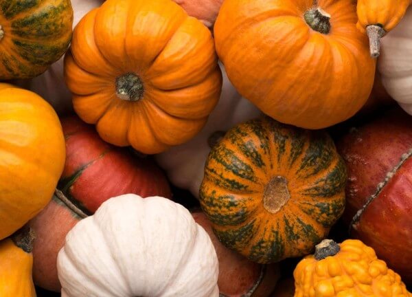 pumpkins-background