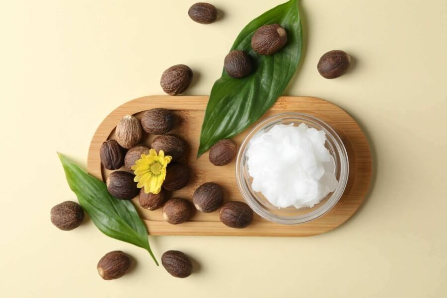 concept of skin care cosmetics shea butter top v 2022 08 13 21 37 38 utc