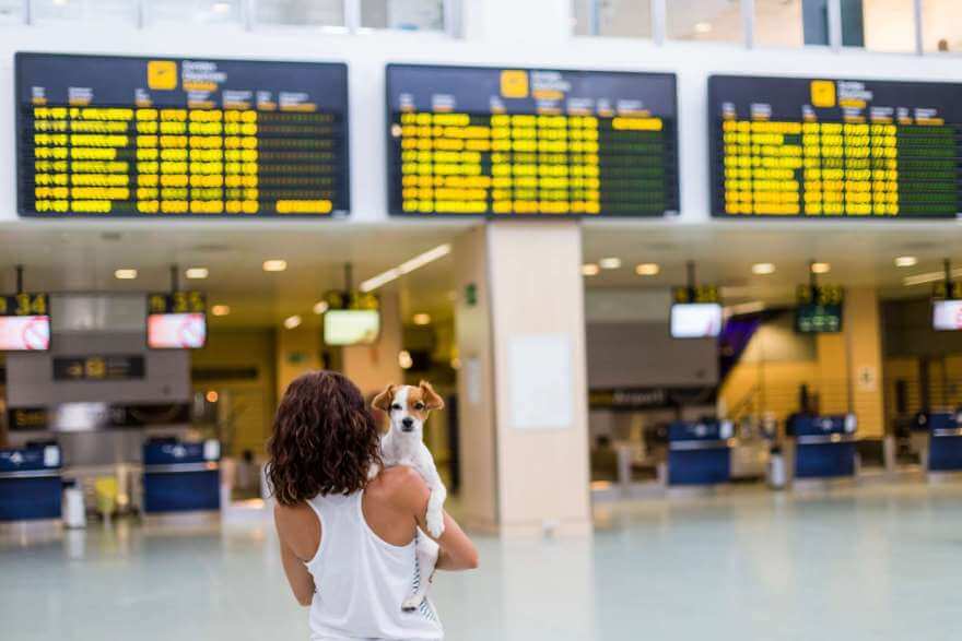 young woman at the airport ready to travel with he 2022 11 10 18 29 18 utc