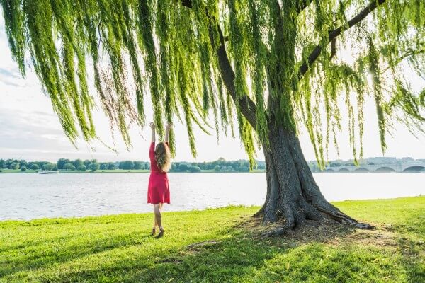 woman with long hair in red dress reaching to willow tree and wind by potomac river and arlington memorial bridge in washington dc