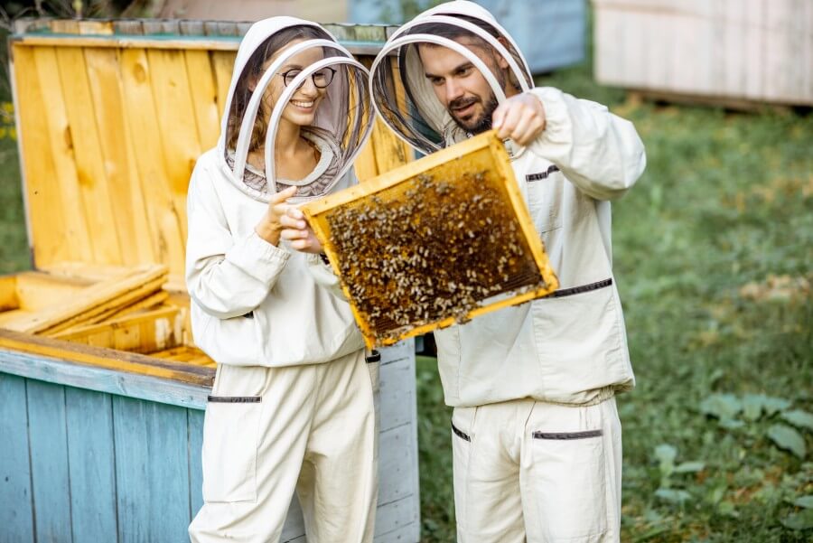 beekeepers working on the apiary