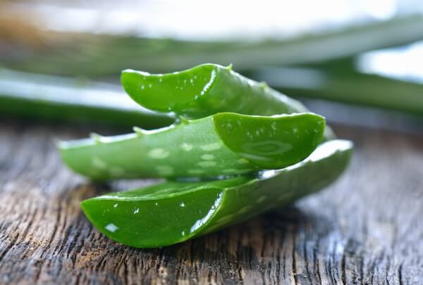 aloe vera on wooden