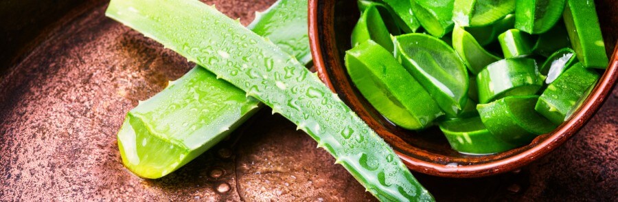 aloe vera sliced