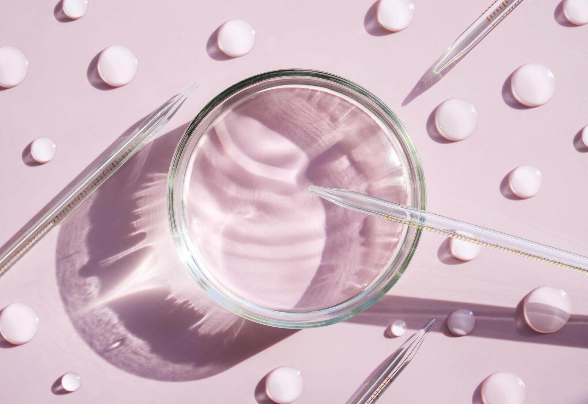 serum in petri dishes on light pink background cosmetic research concept