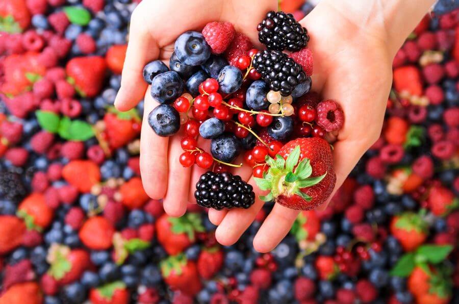 woman hands holding organic fresh berries against the background of strawberry, blueberry, blackberries, currant, mint leaves. top view. summer food. vegan, vegetarian and clean eating concept.