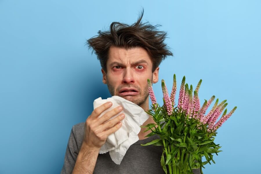 unhappy sick european man suffers from rhinitis and allergy, sneezes in napkin, has problems with breathing, holds blooming plant, looks frustrated at camera, poses over blue background, feels unwell