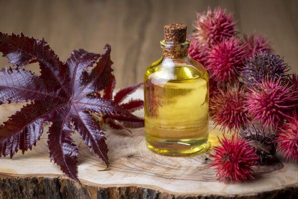 castor oil bottle with castor fruits, seeds and leaf. ricinus co