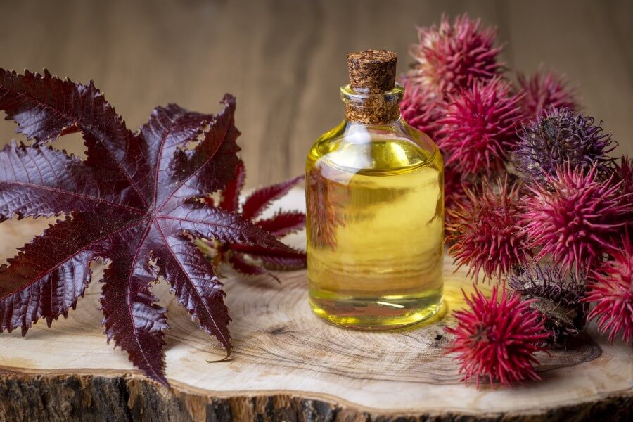 castor oil bottle with castor fruits, seeds and leaf. ricinus co