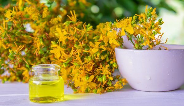 st. john's wort flower oil in a glass bottle. on a wooden background.